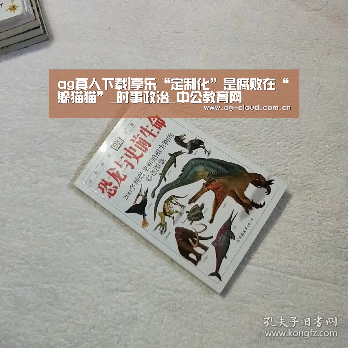 ag真人下载|享乐“定制化”是腐败在“躲猫猫”_时事政治_中公教育网(图3) ag真人厅下载