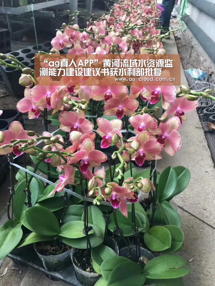 “ag真人APP”黄河流域水资源监测能力建设建议书获水利部批复(图1) ag真人下载
