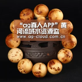 “ag真人APP”黄河流域水资源监测能力建设建议书获水利部批复(图3) ag真人注册