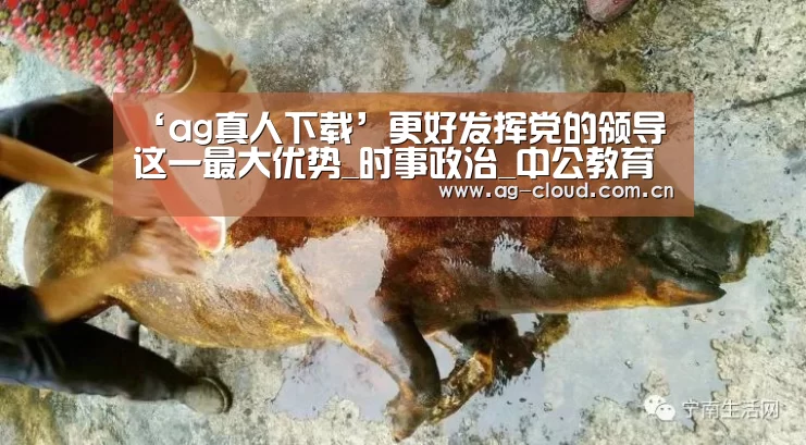 ‘ag真人下载’更好发挥党的领导这一最大优势_时事政治_中公教育网(图1) ag真人下载