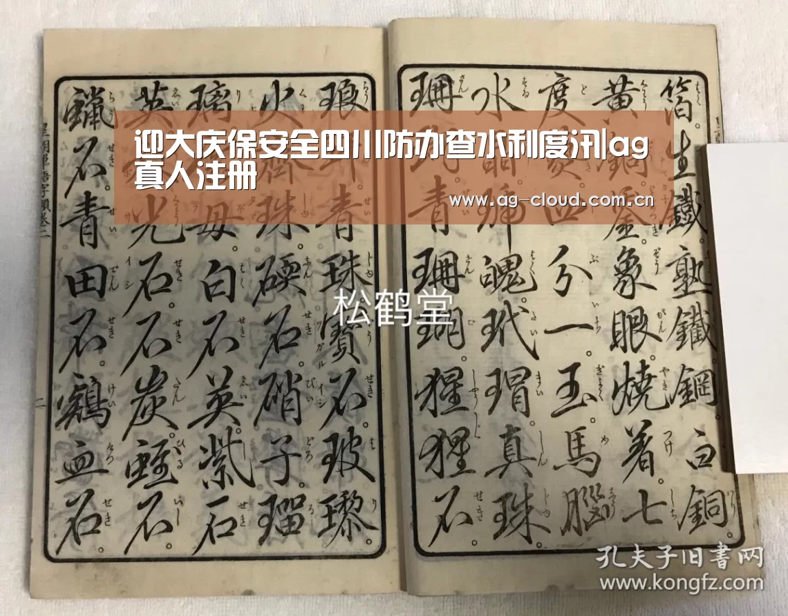 迎大庆保安全四川防办查水利度汛|ag真人注册(图1) ag真人注册
